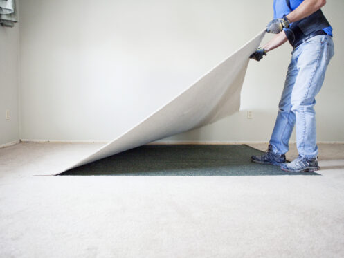 Is Your Carpet a Hidden Source of Indoor Air Pollution?